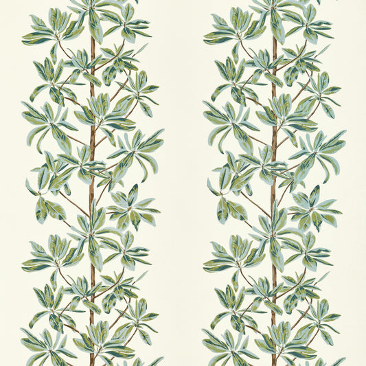 Order Thibaut Fabric Sku# F945034 Pattern Name Mangrove Tree From The Collection Wanderlust Fabric Book. 