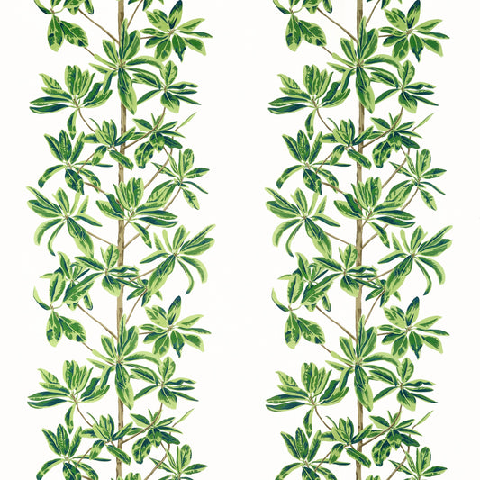 Acquire Thibaut Fabric Product# F945035 Pattern Name Mangrove Tree From The Collection Wanderlust Fabric Book. 