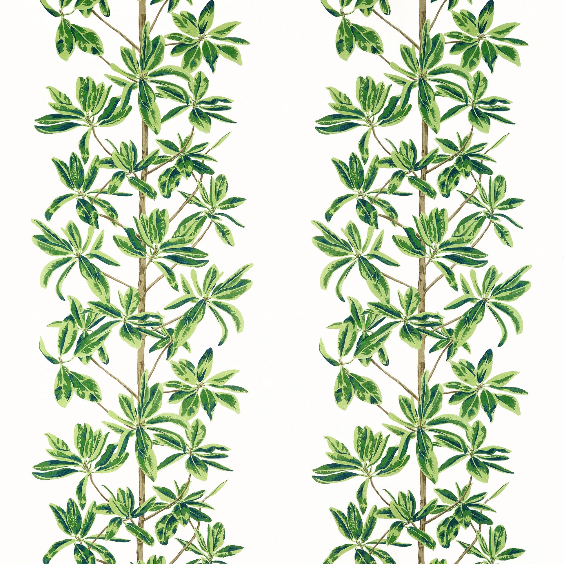 Acquire Thibaut Fabric Product# F945035 Pattern Name Mangrove Tree From The Collection Wanderlust Fabric Book. 