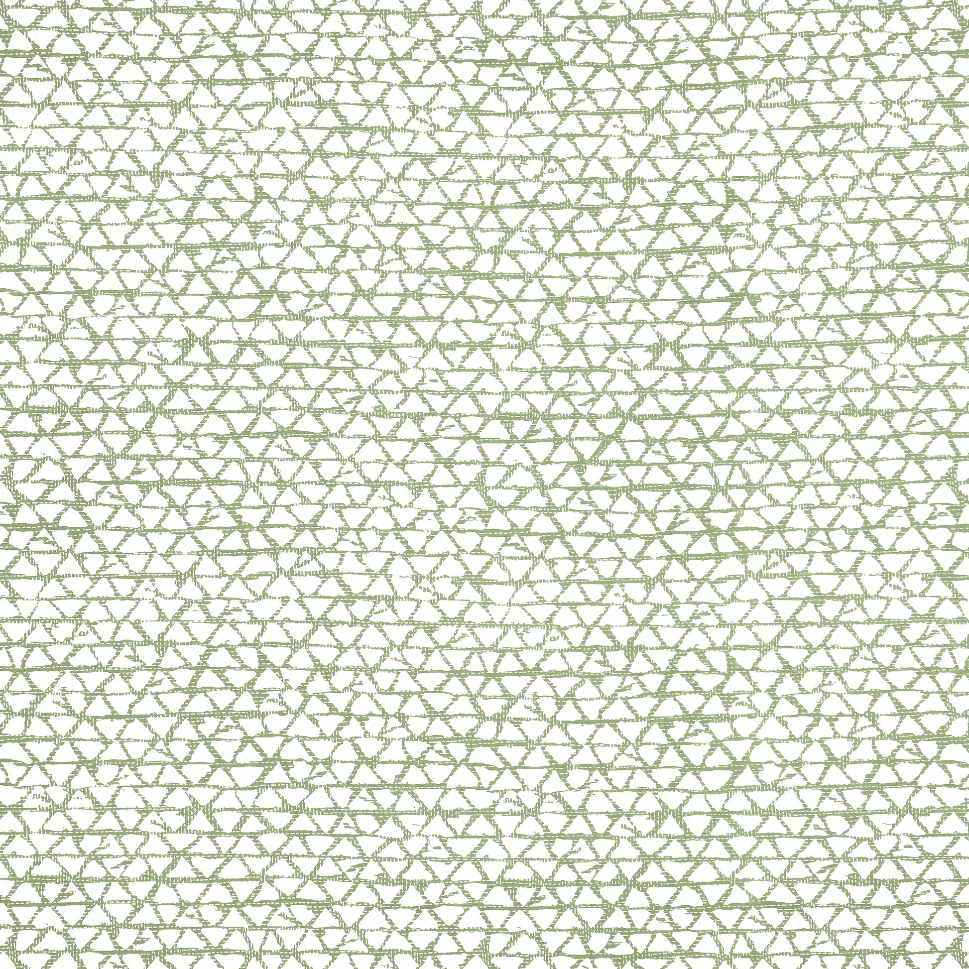 Purchase Thibaut Fabric Item# F981330 pattern name Maluku color Spruce