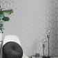 Purchase FD42803 Brewster Wallpaper, Raye Silver Rosco Trellis - Medley1