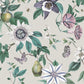 Purchase FD43059 Brewster Wallpaper, Sierra Silver Floral - Medley