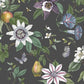 Purchase FD43060 Brewster Wallpaper, Sierra Black Floral - Medley