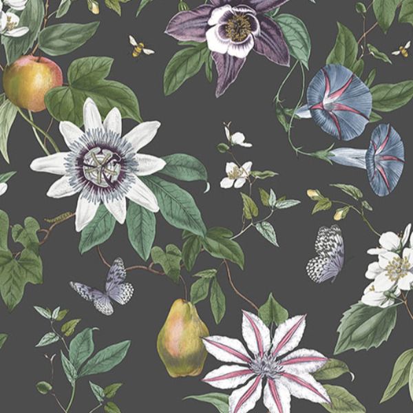 Purchase FD43060 Brewster Wallpaper, Sierra Black Floral - Medley