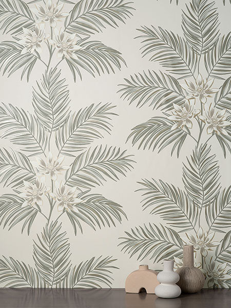 Purchase FD43277 Brewster Wallpaper, Bali Light Grey Palm - Medley1