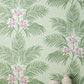 Purchase FD43278 Brewster Wallpaper, Bali Sage Palm - Medley1