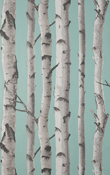 Purchase FD43293 Brewster Wallpaper, Chester Aqua Birch Trees - Medley