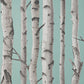 Purchase FD43293 Brewster Wallpaper, Chester Aqua Birch Trees - Medley