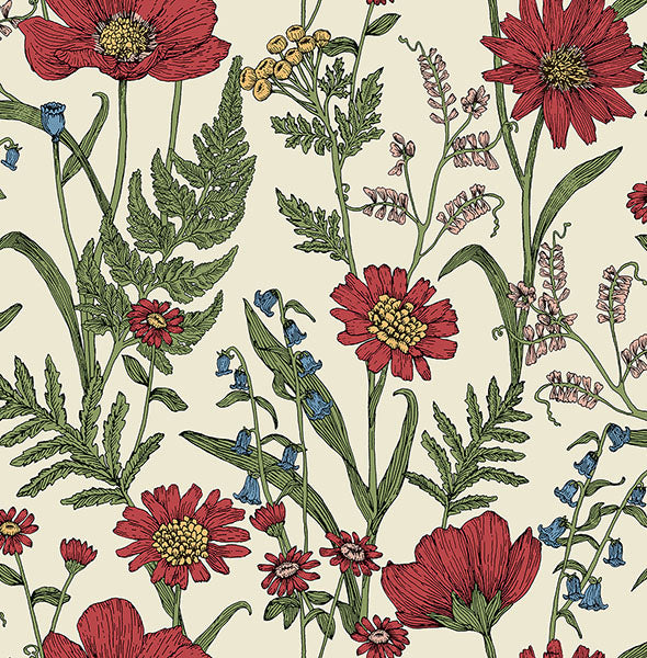 Purchase FD43335 Brewster Wallpaper, Arden Red Wild Meadow - Medley