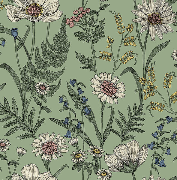 Purchase FD43337 Brewster Wallpaper, Arden Sage Wild Meadow - Medley