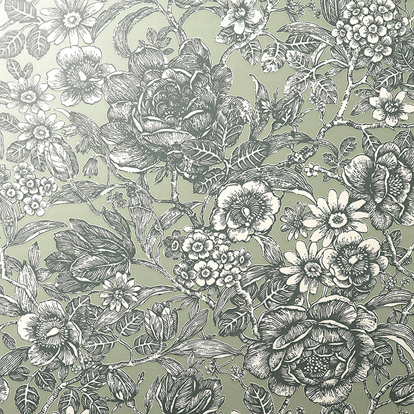 Purchase FD43777 Brewster Wallpaper, Hedgerow Green Floral Trails - Medley