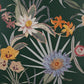 Purchase FD43784 Brewster Wallpaper, Calista Dark Green Tropical Floral - Medley