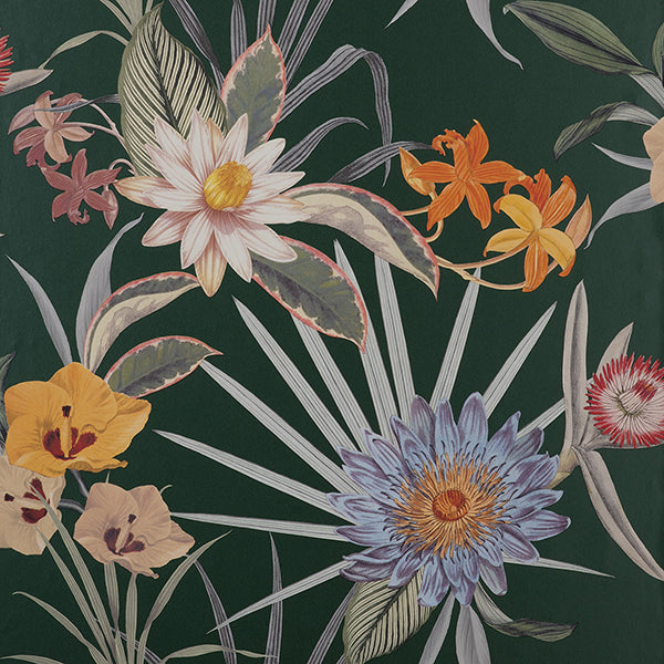 Purchase FD43784 Brewster Wallpaper, Calista Dark Green Tropical Floral - Medley
