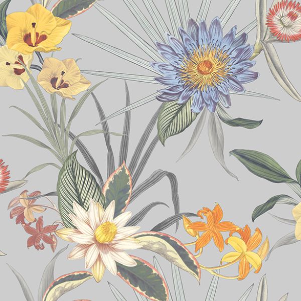 Purchase FD43785 Brewster Wallpaper, Calista Light Blue Tropical Floral - Medley