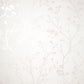 Purchase FD43786 Brewster Wallpaper, Cosima White Sprig - Medley