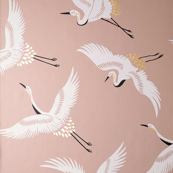 Purchase FD43792 Brewster Wallpaper, Cosette Blush Cranes - Medley