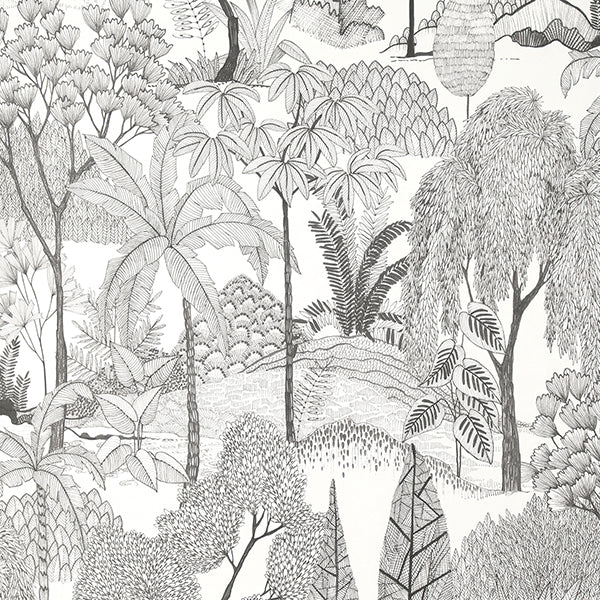 Purchase FD43793 Brewster Wallpaper, Lilou White Tropical Island - Medley