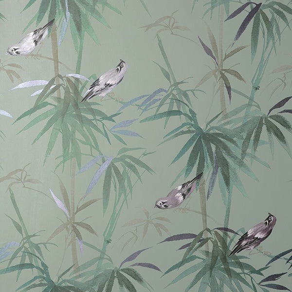 Purchase FD43795 Brewster Wallpaper, Zella Green Bamboo - Medley