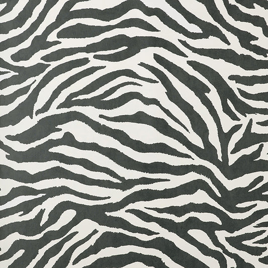 Purchase FD43801 Brewster Wallpaper, Shoshana Black Modern Zebra - Medley