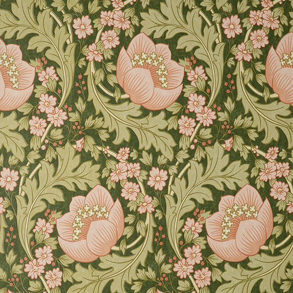 Purchase FD43820 Brewster Wallpaper, Claes Pink Floral - Medley