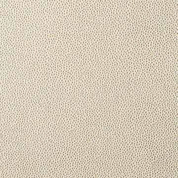 Sample FETCH.116.0 Fetch Beige Animal Skins Kravet Contract Fabric