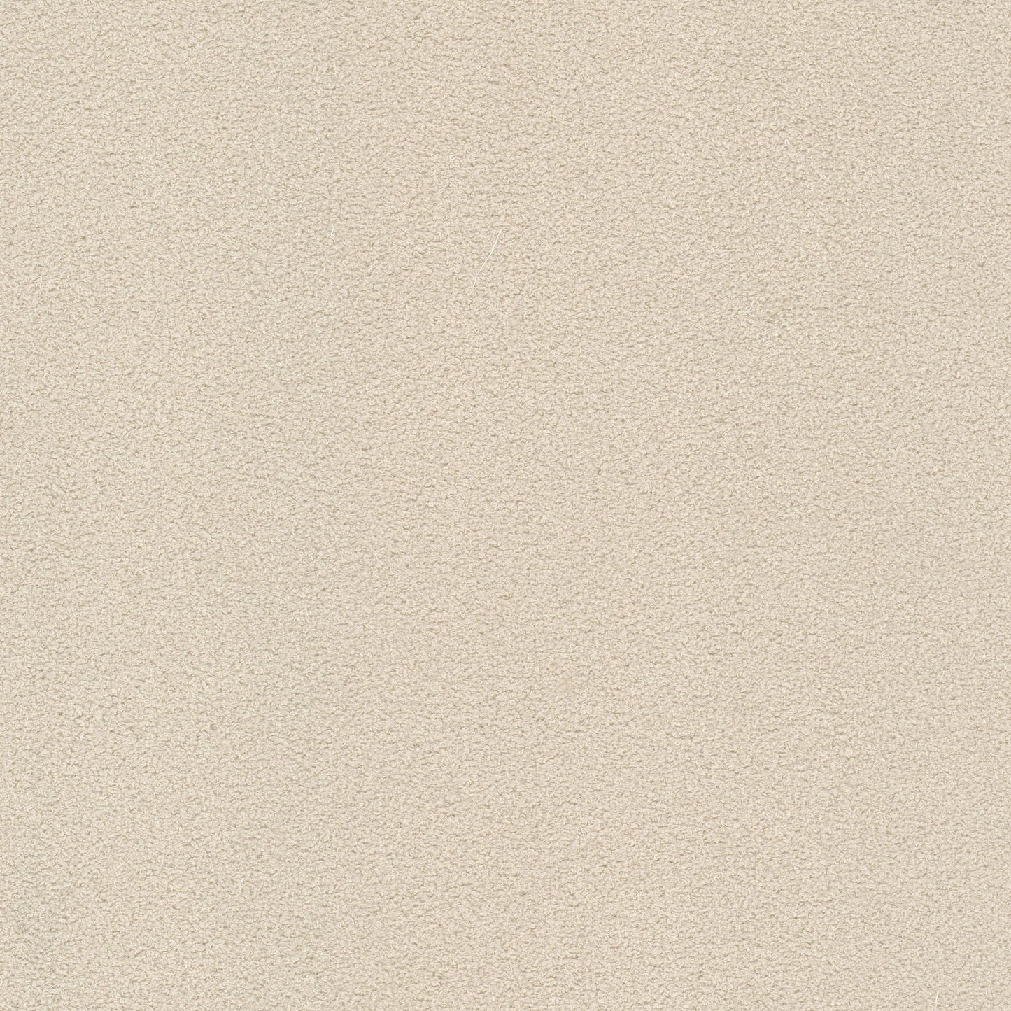 Purchase Stout Fabric SKU Finnerty 2 Ecru