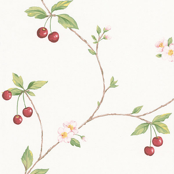 Purchase Fk26957 | Fresh Kitchens 5, Red Fruit - Norwall Wallpaper