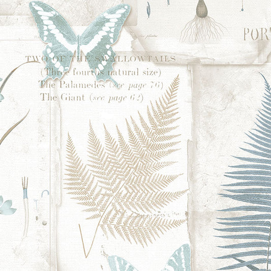 Purchase Fk34414 | Fresh Kitchens 5, Blue Butterflies - Norwall Wallpaper