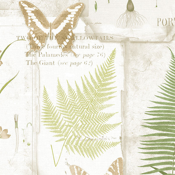 Purchase Fk34415 | Fresh Kitchens 5, Green Butterflies - Norwall Wallpaper
