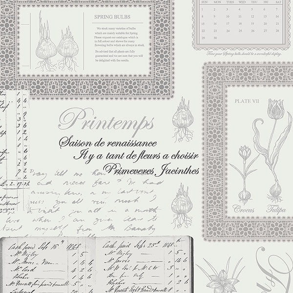 Purchase Fk34417 | Fresh Kitchens 5, Grey Novelty - Norwall Wallpaper