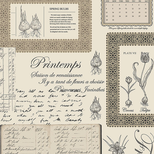 Purchase Fk34419 | Fresh Kitchens 5, Beige Novelty - Norwall Wallpaper