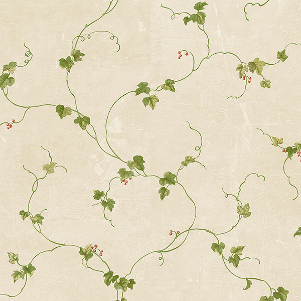 Purchase Fk34435 | Fresh Kitchens 5, Green Vine - Norwall Wallpaper