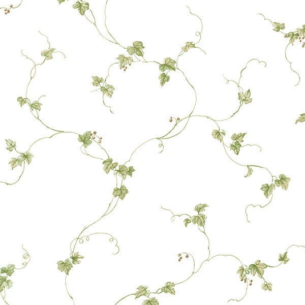 Purchase Fk34437 | Fresh Kitchens 5, Green Vine - Norwall Wallpaper