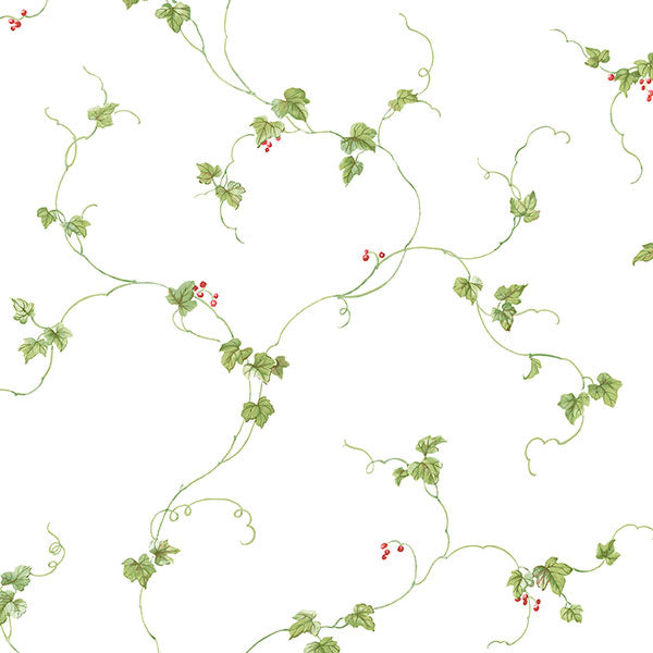 Purchase Fk34438 | Fresh Kitchens 5, Green Vine - Norwall Wallpaper