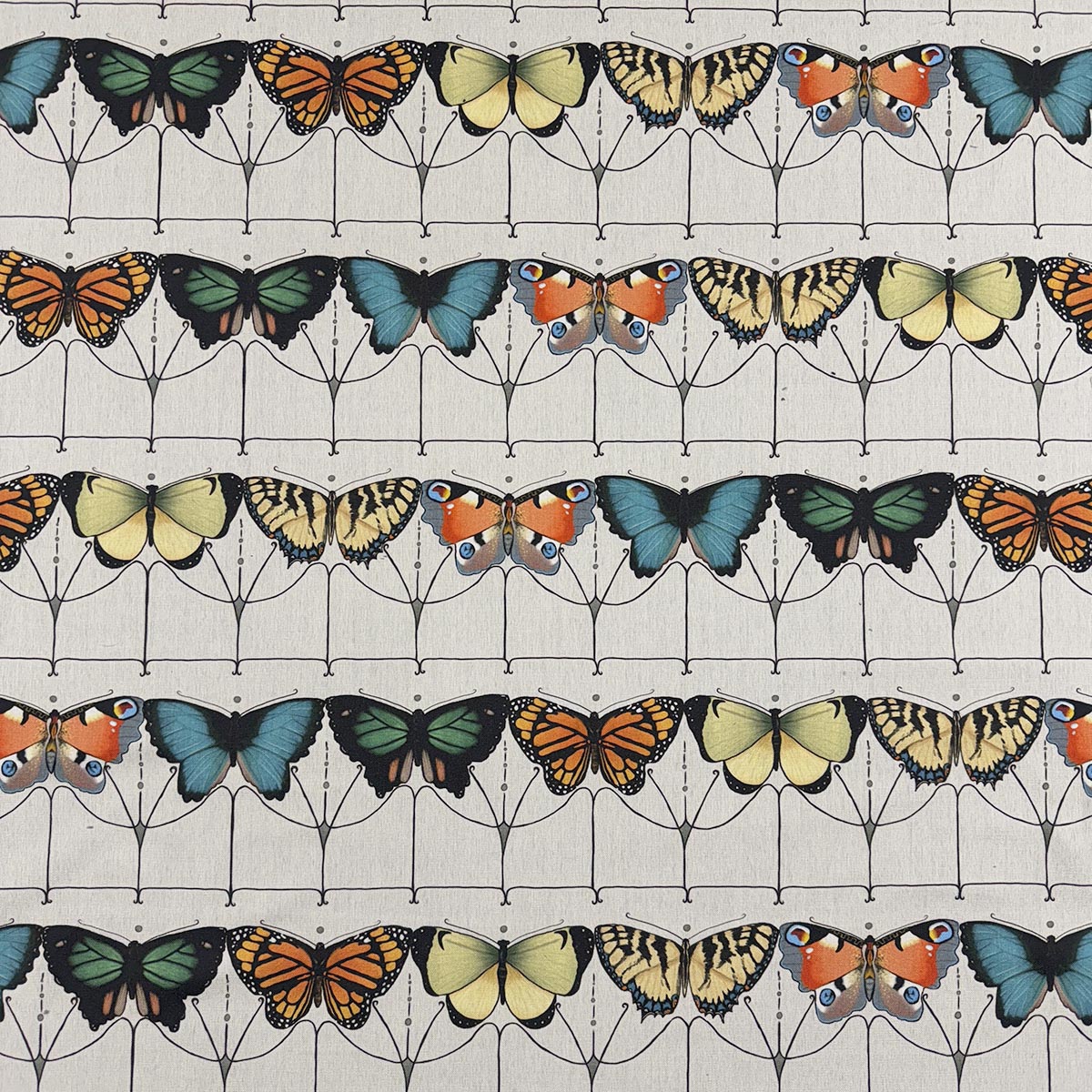 Purchase Mag Fabric Pattern# 12276 pattern name Flutter Chromatic