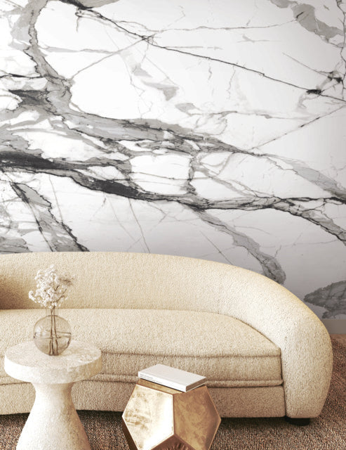 Purchase Fm1109M | Formations, Imperial Marble Black & White Wall Mural - York Wallpaper