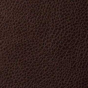 Sample - Foothill-66 | Foothill, Sta-Kleen - Kravet Contract Fabric - Foothill.66.0