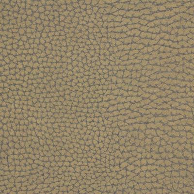 Sample - Forgetful.6.0 | Forgetful,  - Kravet Couture Fabric