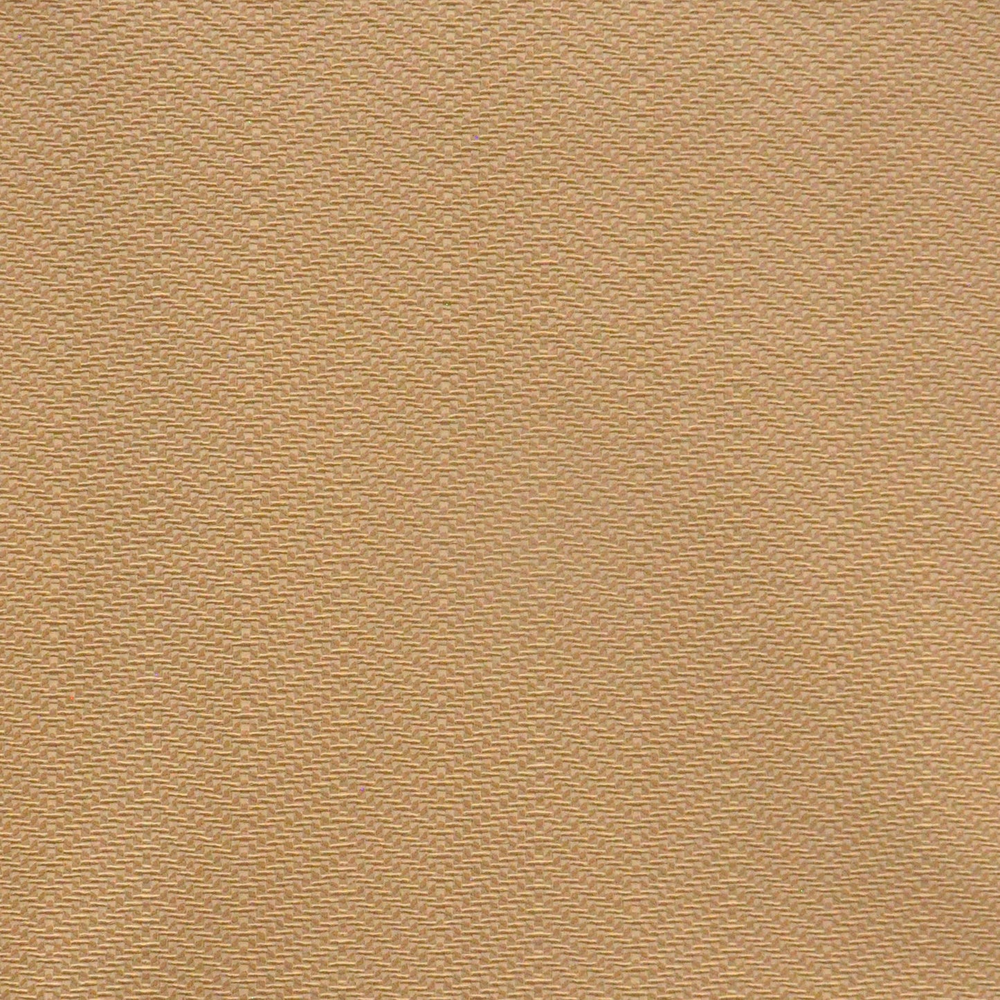 Purchase Maxwell Fabric - Fawkes, # 705 Macadamia