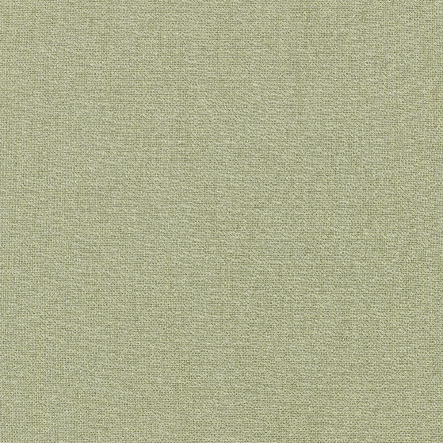 Purchase Thibaut Fabric SKU# FWW7655 pattern name Palisade Linen color Moss