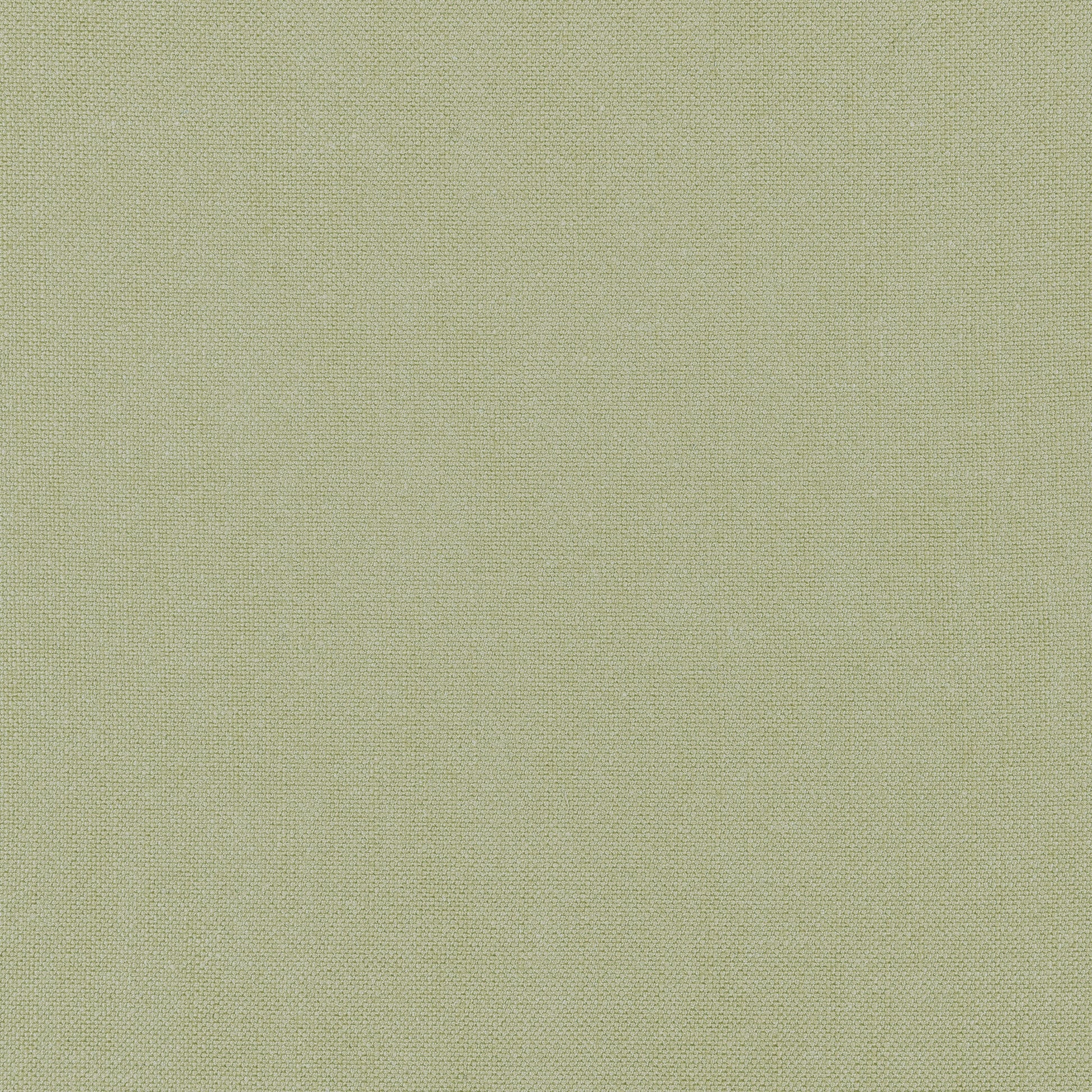 Purchase Thibaut Fabric SKU# FWW7655 pattern name Palisade Linen color Moss