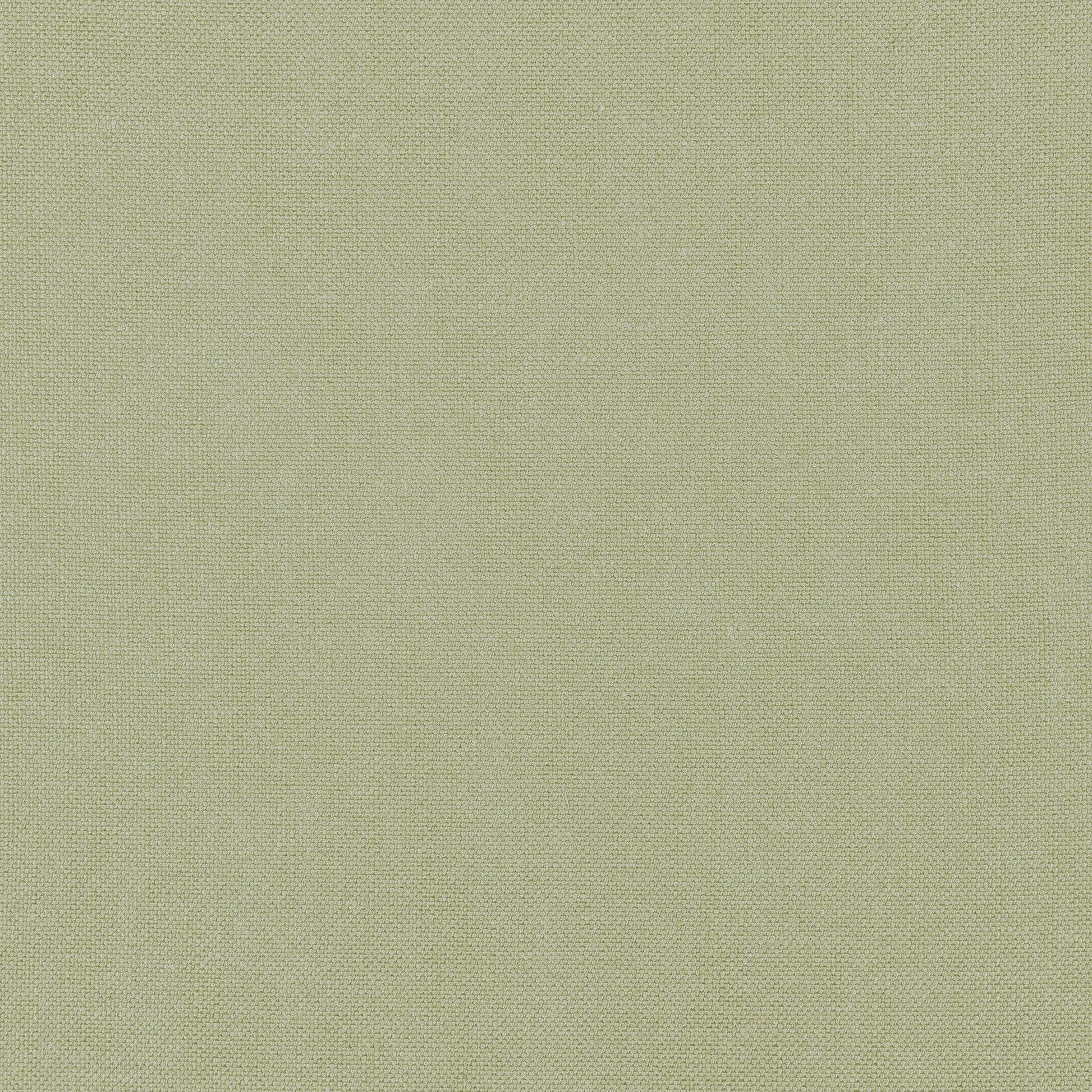 Purchase Thibaut Fabric SKU# FWW7655 pattern name Palisade Linen color Moss