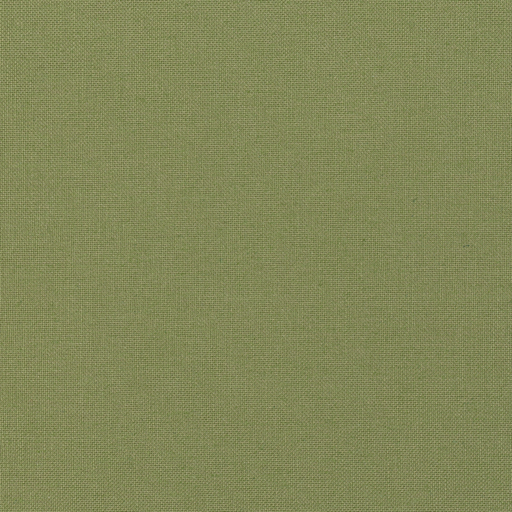 Purchase Thibaut Fabric Pattern FWW7657 pattern name Palisade Linen color Olive