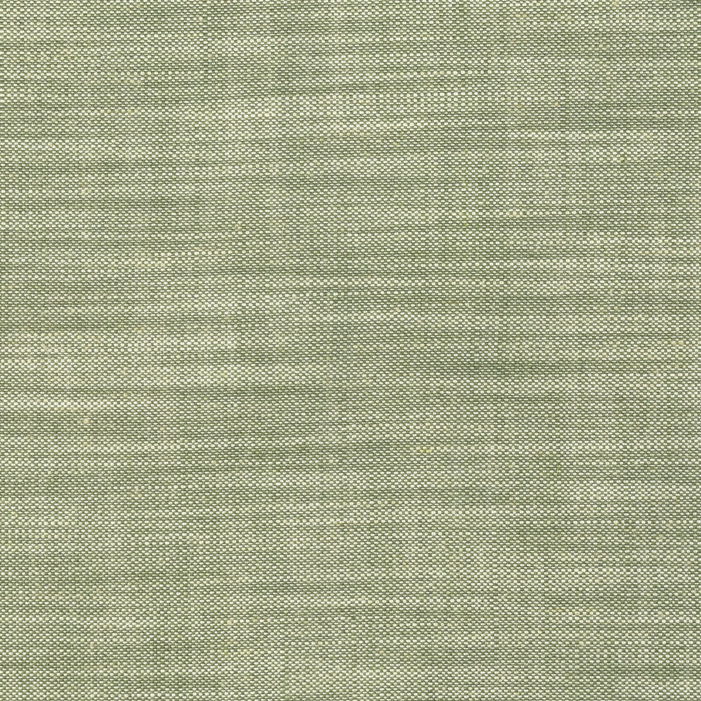 Purchase Thibaut Fabric SKU# FWW7690 pattern name Terra Linen color Olive