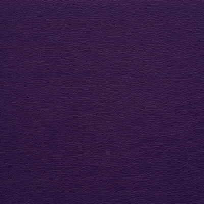 Sample - Gato.10.0 | Kravet Design,  - Kravet Design Fabric