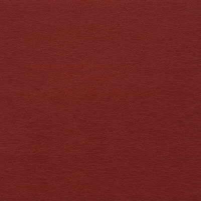 Sample - Gato.19.0 | Kravet Design,  - Kravet Design Fabric