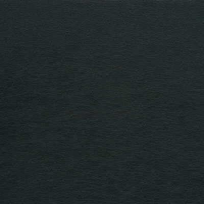 Sample - Gato.21.0 | Kravet Design,  - Kravet Design Fabric