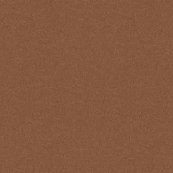 Sample - Gato.2424.0 | Kravet Design,  - Kravet Design Fabric