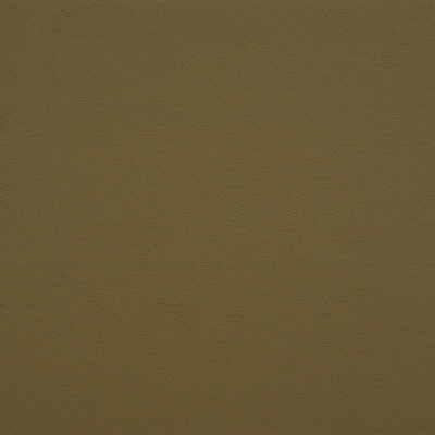 Sample - Gato.30.0 | Kravet Design,  - Kravet Design Fabric