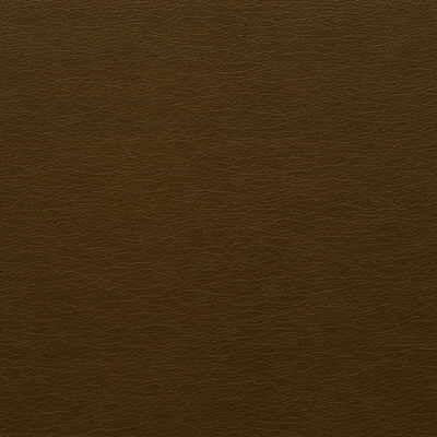 Purchase Gato.66.0 Kravet Design,  - Kravet Design Fabric